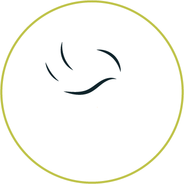 batteri nørder ikon